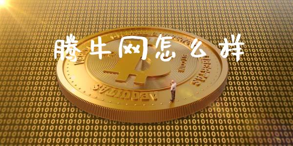 腾牛网怎么样_https://m.apzhendong.com_财务分析_第1张