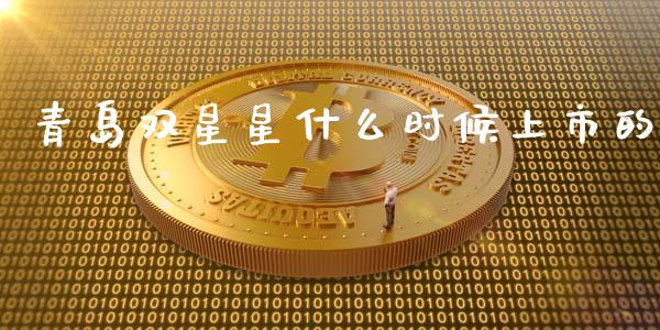 青岛双星星什么时候上市的_https://m.apzhendong.com_期货行情_第1张