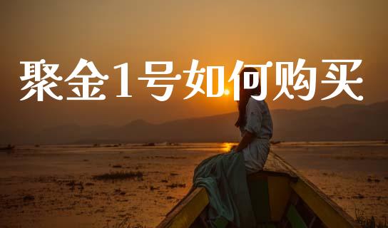 聚金1号如何购买_https://m.apzhendong.com_财经资讯_第1张