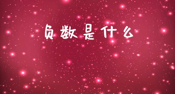 负数是什么_https://m.apzhendong.com_全球经济_第1张