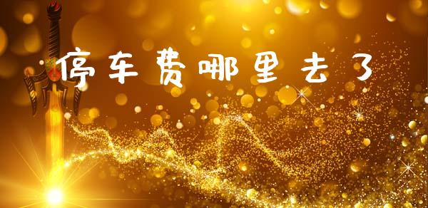 停车费哪里去了_https://m.apzhendong.com_期货行情_第1张