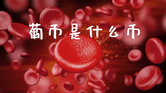 葡币是什么币_https://m.apzhendong.com_财务分析_第1张