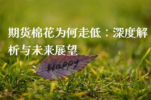 期货棉花为何走低：深度解析与未来展望_https://m.apzhendong.com_财务分析_第1张