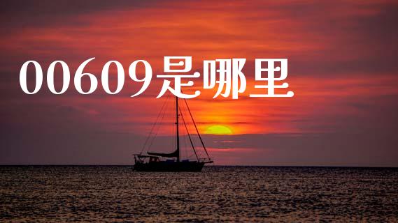 00609是哪里_https://m.apzhendong.com_财务分析_第1张