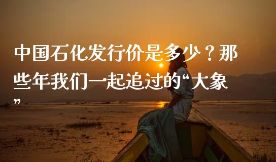 中国石化发行价是多少？那些年我们一起追过的“大象”_https://m.apzhendong.com_财经资讯_第1张