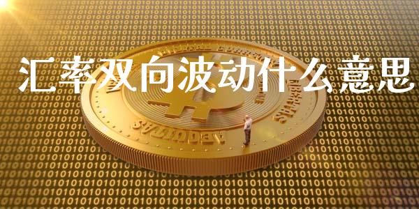 汇率双向波动什么意思_https://m.apzhendong.com_财务分析_第1张