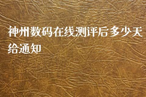 神州数码在线测评后多少天给通知_https://m.apzhendong.com_期货行情_第1张