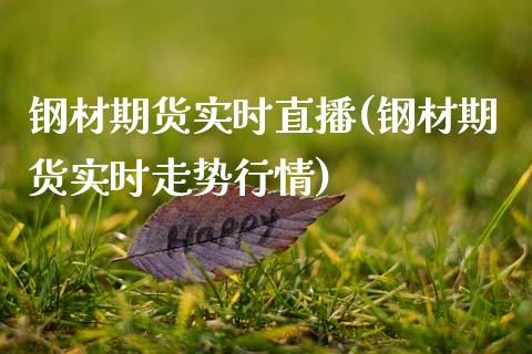 钢材期货实时直播(钢材期货实时走势行情)_https://m.apzhendong.com_期货行情_第1张