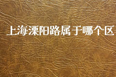 上海溧阳路属于哪个区_https://m.apzhendong.com_财务分析_第1张