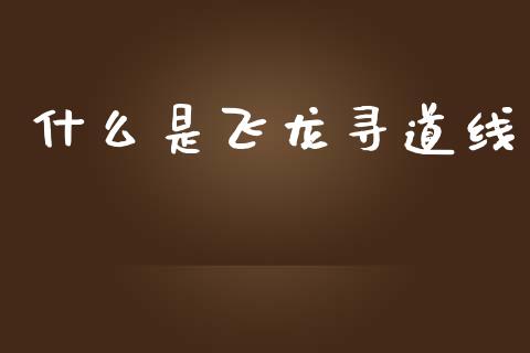 什么是飞龙寻道线_https://m.apzhendong.com_财务分析_第1张