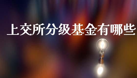 上交所分级基金有哪些_https://m.apzhendong.com_期货行情_第1张