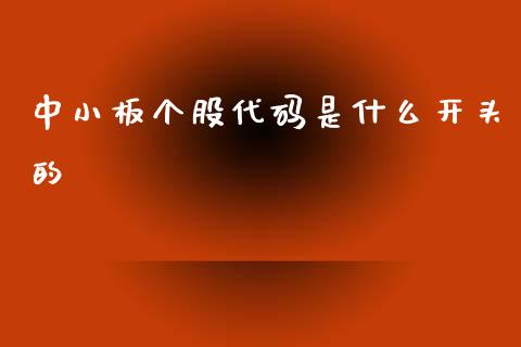 中小板个股代码是什么开头的_https://m.apzhendong.com_全球经济_第1张