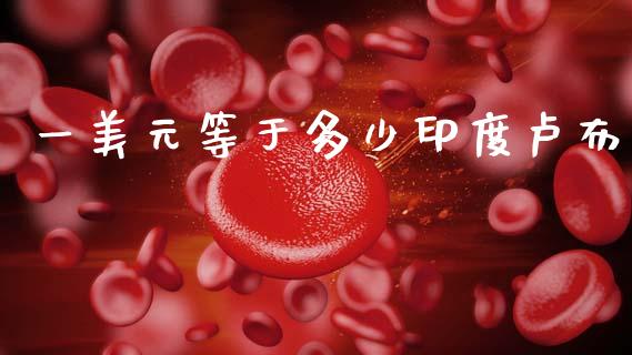 一美元等于多少印度卢布_https://m.apzhendong.com_期货行情_第1张
