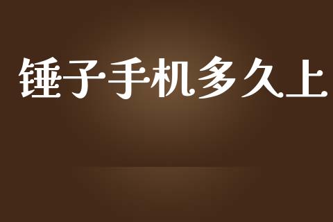 锤子手机多久上_https://m.apzhendong.com_期货行情_第1张