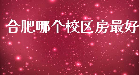 合肥哪个校区房最好_https://m.apzhendong.com_财务分析_第1张