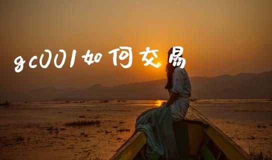 gc001如何交易_https://m.apzhendong.com_财务分析_第1张