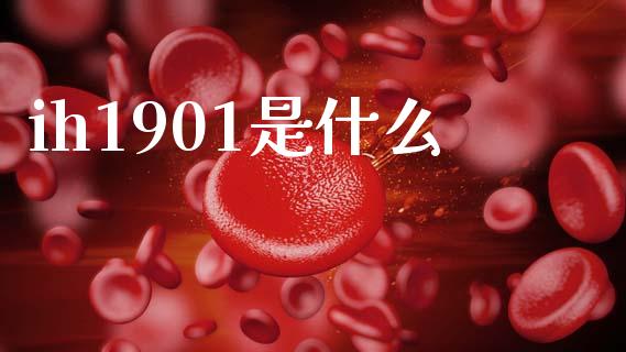 ih1901是什么_https://m.apzhendong.com_财务分析_第1张