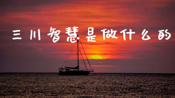 三川智慧是做什么的_https://m.apzhendong.com_财务分析_第1张