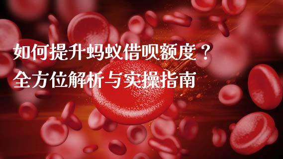 如何提升蚂蚁借呗额度？ 全方位解析与实操指南_https://m.apzhendong.com_全球经济_第1张
