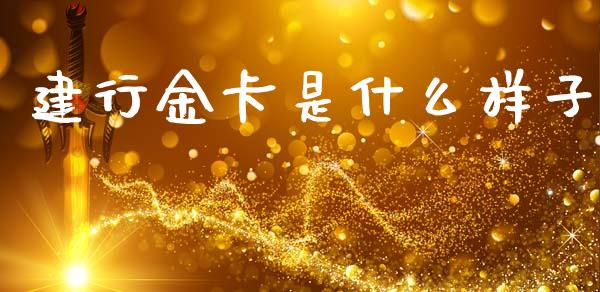 建行金卡是什么样子_https://m.apzhendong.com_期货行情_第1张