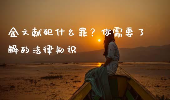 金文献犯什么罪？你需要了解的法律知识_https://m.apzhendong.com_期货行情_第1张