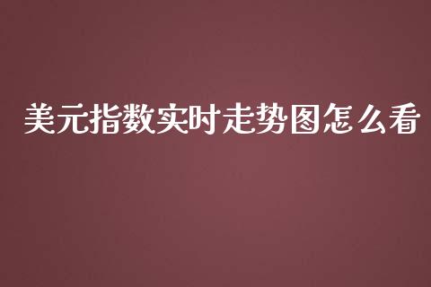 美元指数实时走势图怎么看_https://m.apzhendong.com_财务分析_第1张