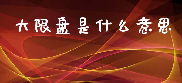 大限盘是什么意思_https://m.apzhendong.com_财务分析_第1张
