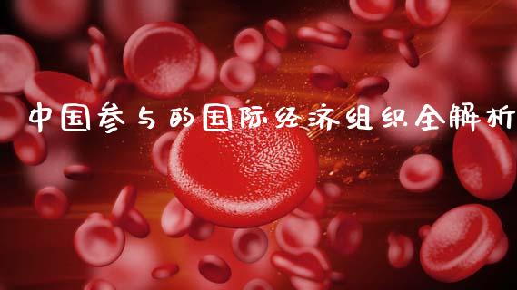 中国参与的国际经济组织全解析_https://m.apzhendong.com_财经资讯_第1张