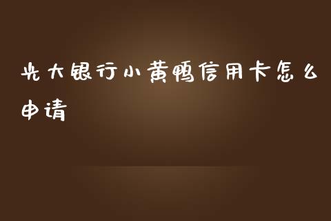 光大银行小黄鸭信用卡怎么申请_https://m.apzhendong.com_财务分析_第1张