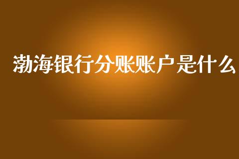 渤海银行分账账户是什么_https://m.apzhendong.com_期货行情_第1张