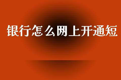 银行怎么网上开通短_https://m.apzhendong.com_财务分析_第1张