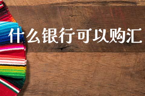 什么银行可以购汇_https://m.apzhendong.com_财务分析_第1张