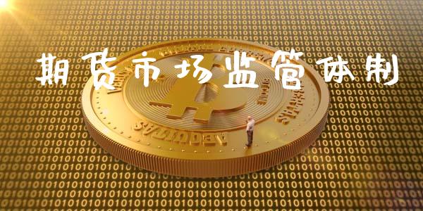 期货市场监管体制_https://m.apzhendong.com_财务分析_第1张