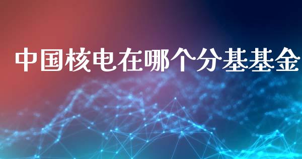 中国核电在哪个分基基金_https://m.apzhendong.com_财经资讯_第1张