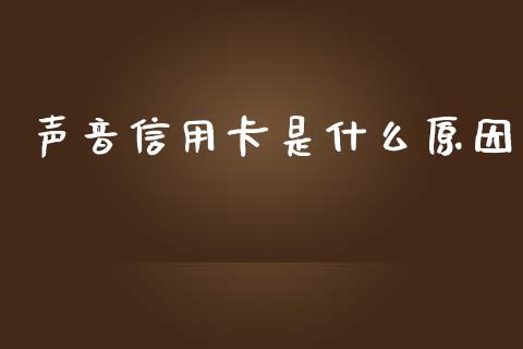 声音信用卡是什么原因_https://m.apzhendong.com_财务分析_第1张