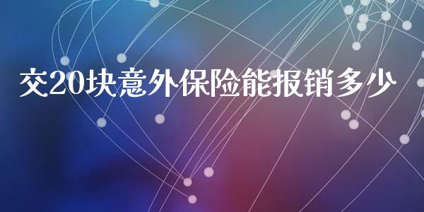 交20块意外保险能报销多少_https://m.apzhendong.com_财务分析_第1张