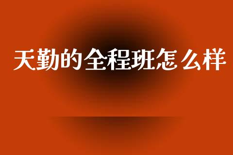 天勤的全程班怎么样_https://m.apzhendong.com_财务分析_第1张