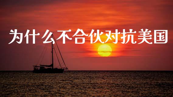 为什么不合伙对抗美国_https://m.apzhendong.com_全球经济_第1张