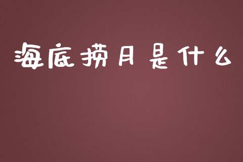 海底捞月是什么_https://m.apzhendong.com_期货行情_第1张