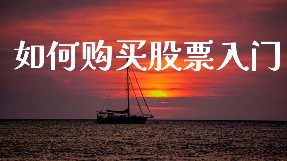 如何购买股票入门_https://m.apzhendong.com_财务分析_第1张