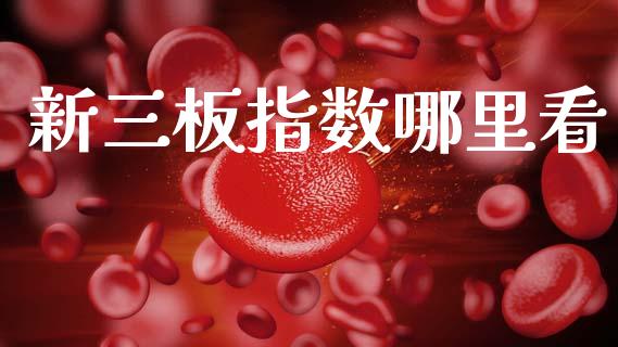 新三板指数哪里看_https://m.apzhendong.com_财经资讯_第1张