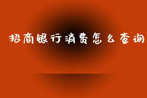 招商银行消费怎么查询_https://m.apzhendong.com_全球经济_第1张