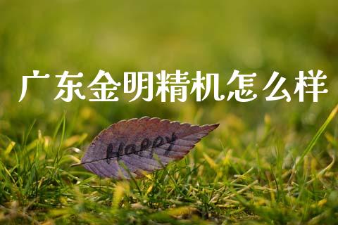 广东金明精机怎么样_https://m.apzhendong.com_财经资讯_第1张
