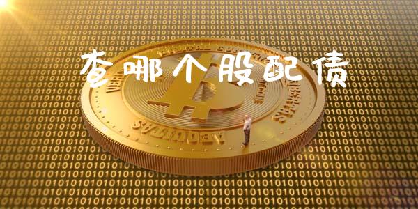 查哪个股配债_https://m.apzhendong.com_财务分析_第1张