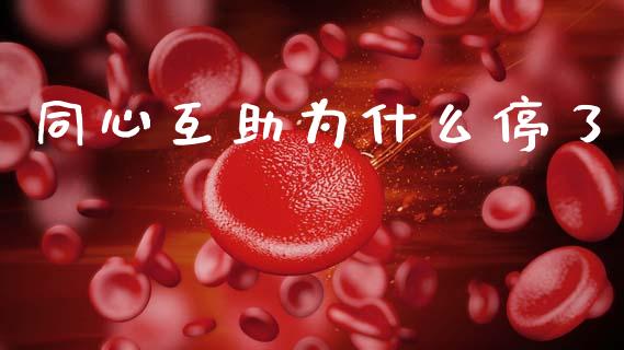 同心互助为什么停了_https://m.apzhendong.com_期货行情_第1张