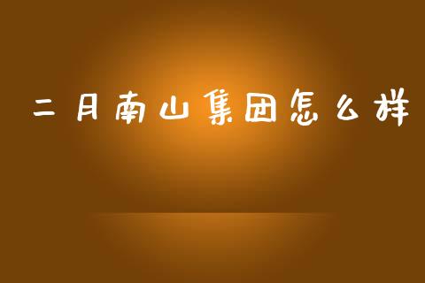 二月南山集团怎么样_https://m.apzhendong.com_期货行情_第1张