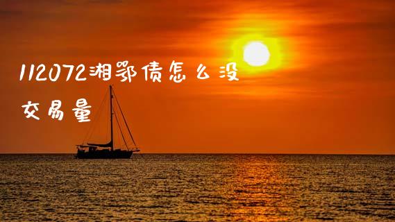 112072湘鄂债怎么没交易量_https://m.apzhendong.com_期货行情_第1张