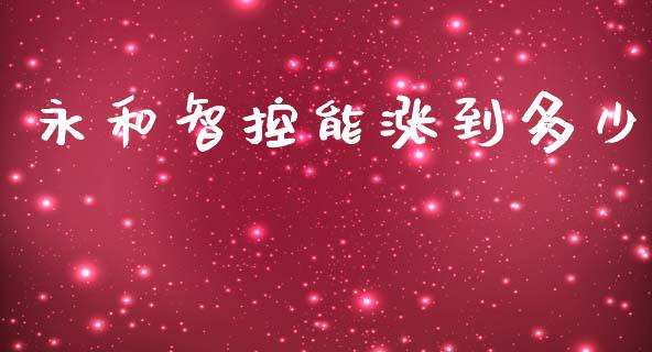 永和智控能涨到多少_https://m.apzhendong.com_全球经济_第1张