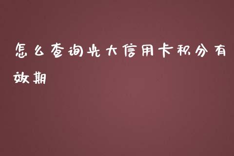 怎么查询光大信用卡积分有效期_https://m.apzhendong.com_期货行情_第1张