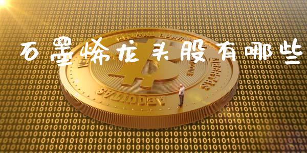 石墨烯龙头股有哪些_https://m.apzhendong.com_财经资讯_第1张